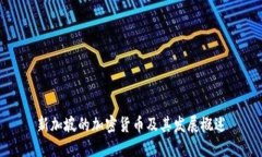 新加坡的加密货币及其发