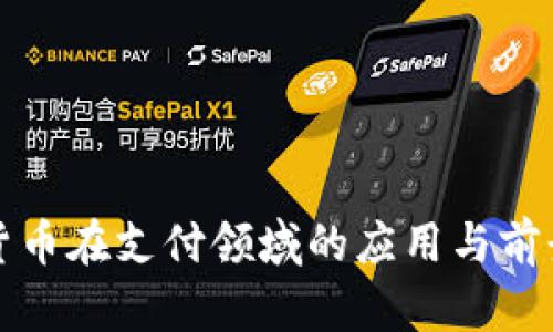 加密货币在支付领域的应用与前景展望