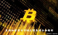 美国加密货币市场反弹原