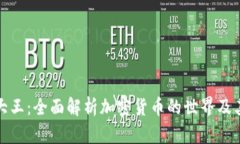 加密货币大王：全面解析