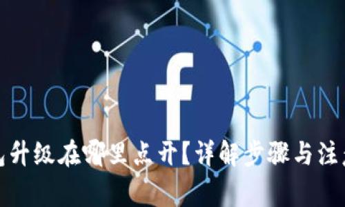 TP钱包升级在哪里点开?详解步骤与注意事项