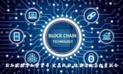 新加坡数字加密货币：发