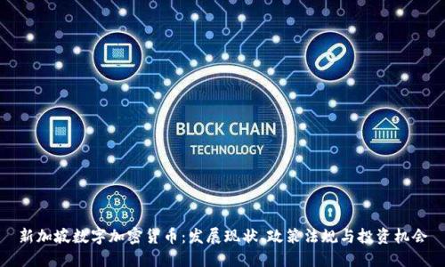 新加坡数字加密货币:发展现状、政策法规与投资机会