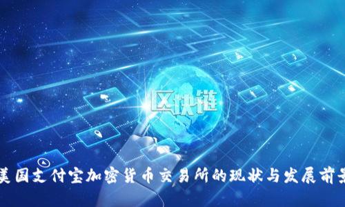 美国支付宝加密货币交易所的现状与发展前景