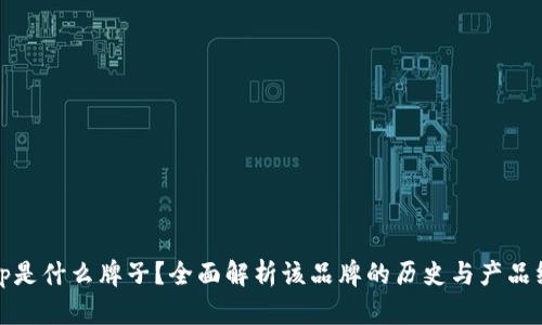 tp是什么牌子?全面解析该品牌的历史与产品线