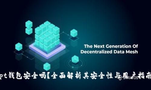 pt钱包安全吗?全面解析其安全性与用户指南