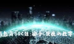 深入了解TP钱包与BSC链：安