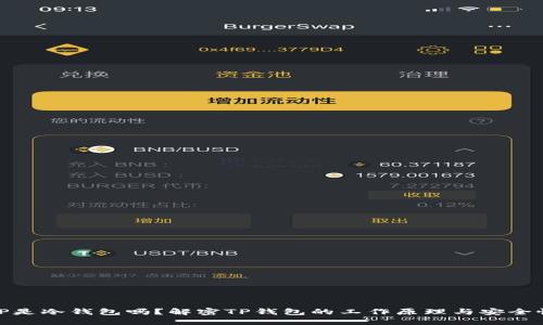 TP是冷钱包吗?解密TP钱包的工作原理与安全性