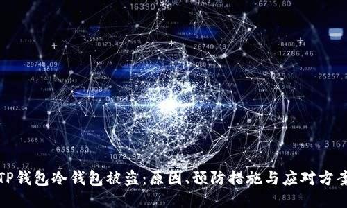 TP钱包冷钱包被盗:原因、预防措施与应对方案