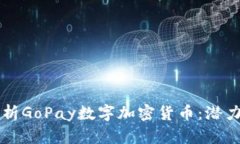 全面解析GoPay数字加密货币