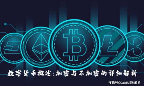 数字货币概述:加密与不加密的详细解析