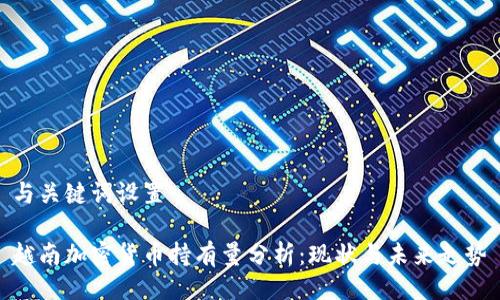 与关键词设置
越南加密货币持有量分析:现状与未来走势