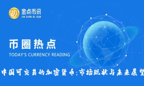 中国可交易的加密货币：市场现状与未来展望