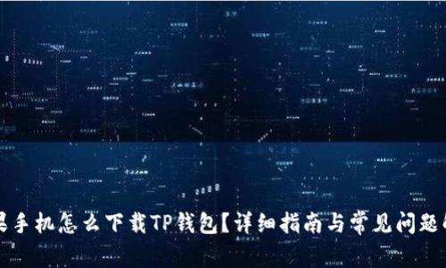 苹果手机怎么下载TP钱包?详细指南与常见问题解答