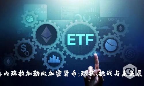 委内瑞拉加勒比加密货币:现状、挑战与未来展望