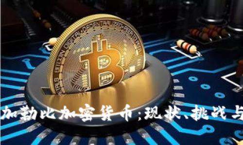 委内瑞拉加勒比加密货币:现状、挑战与未来展望
