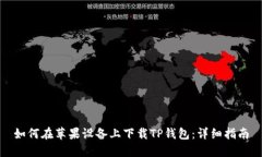 如何在苹果设备上下载T