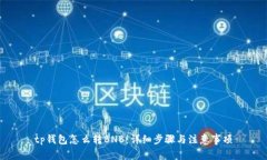 tp钱包怎么转BNB：详细步骤