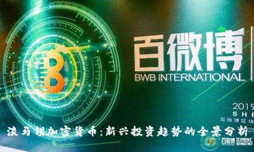淡马锡加密货币:新兴投资趋势的全景分析