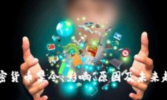 美国加密货币禁令：影响