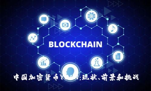 中国加密货币YUAN：现状、前景和挑战