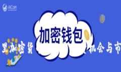 卡尔加里加密货币的未来