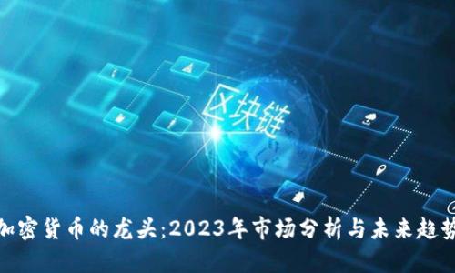加密货币的龙头：2023年市场分析与未来趋势