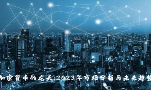 加密货币的龙头：2023年市场分析与未来趋势