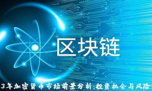 2023年加密货币市场前景分析:投资机会与风险洞察