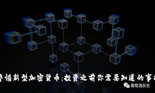 警惕新型加密货币:投资之前你需要知道的事项