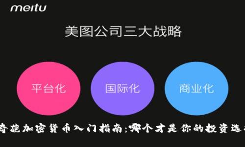 : 奇葩加密货币入门指南：哪个才是你的投资选择？