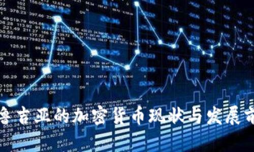 格鲁吉亚的加密货币现状与发展前景