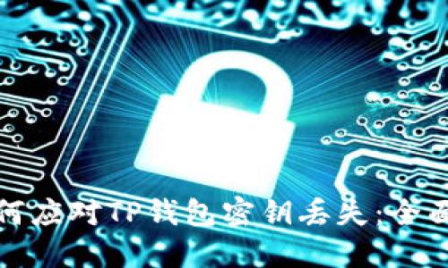: 如何应对TP钱包密钥丢失:全面指南