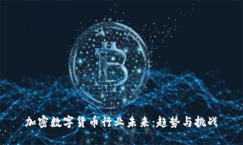 加密数字货币行业未来：趋势与挑战