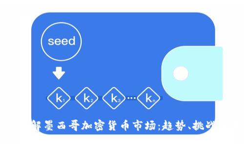 深入了解墨西哥加密货币市场:趋势、挑战与未来