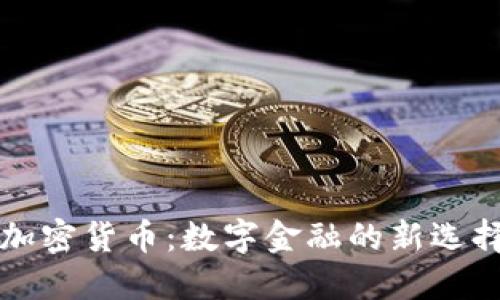 大通宝数字加密货币：数字金融的新选择与未来发展