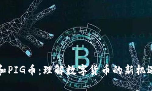 TP钱包和PIG币:理解数字货币的新机遇与挑战