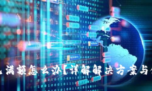 TP钱包已满额怎么办?详解解决方案与使用技巧
