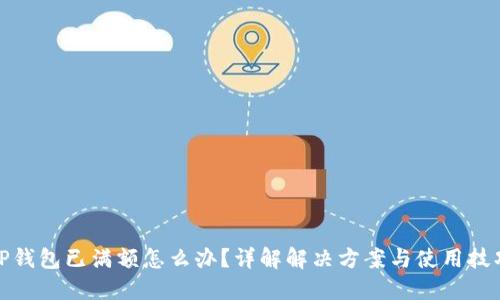 TP钱包已满额怎么办?详解解决方案与使用技巧