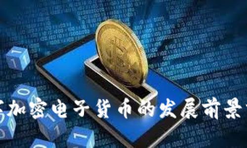 数字加密电子货币的发展前景分析