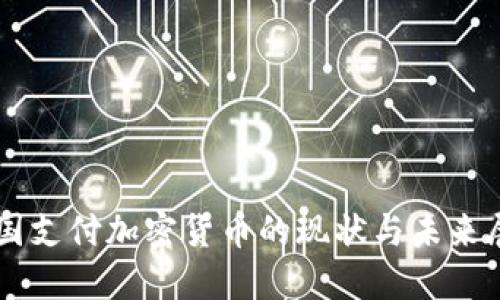 美国支付加密货币的现状与未来展望