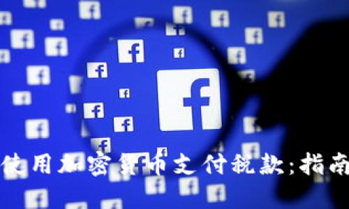 如何在瑞士使用加密货币支付税款：指南与实用信息