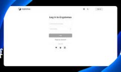 tP钱包博饼买币到账延迟的