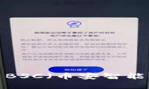 如何在TP钱包中设置BSC（币安智能链）？详细步骤与技巧