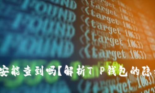 T P钱包公安能查到吗？解析T P钱包的隐私与安全性