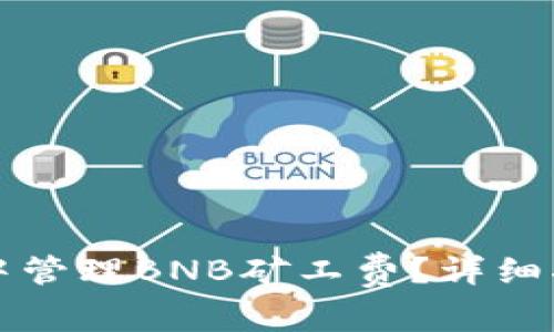 如何在TP钱包中管理BNB矿工费？详细指南与实用技巧