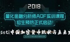 biasoti中国加密货币现状与