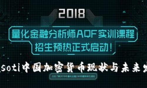 biasoti中国加密货币现状与未来发展