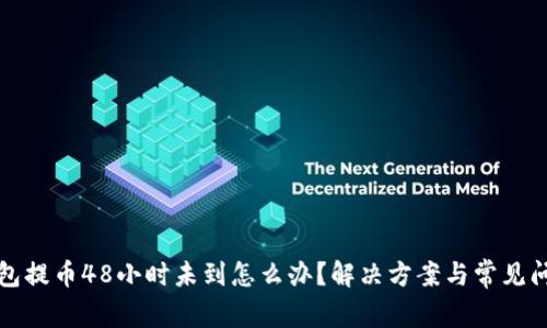 TP冷钱包提币48小时未到怎么办？解决方案与常见问题解析