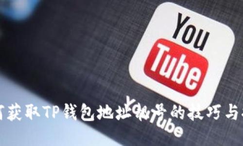 如何获取TP钱包地址靓号的技巧与推荐